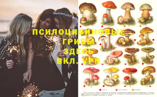 каннабис Балахна